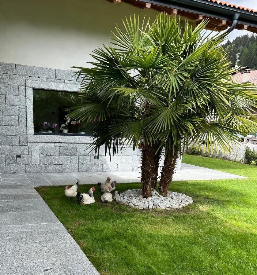 B&B Casa Il Sasso Pinzolo Exteriér fotografie